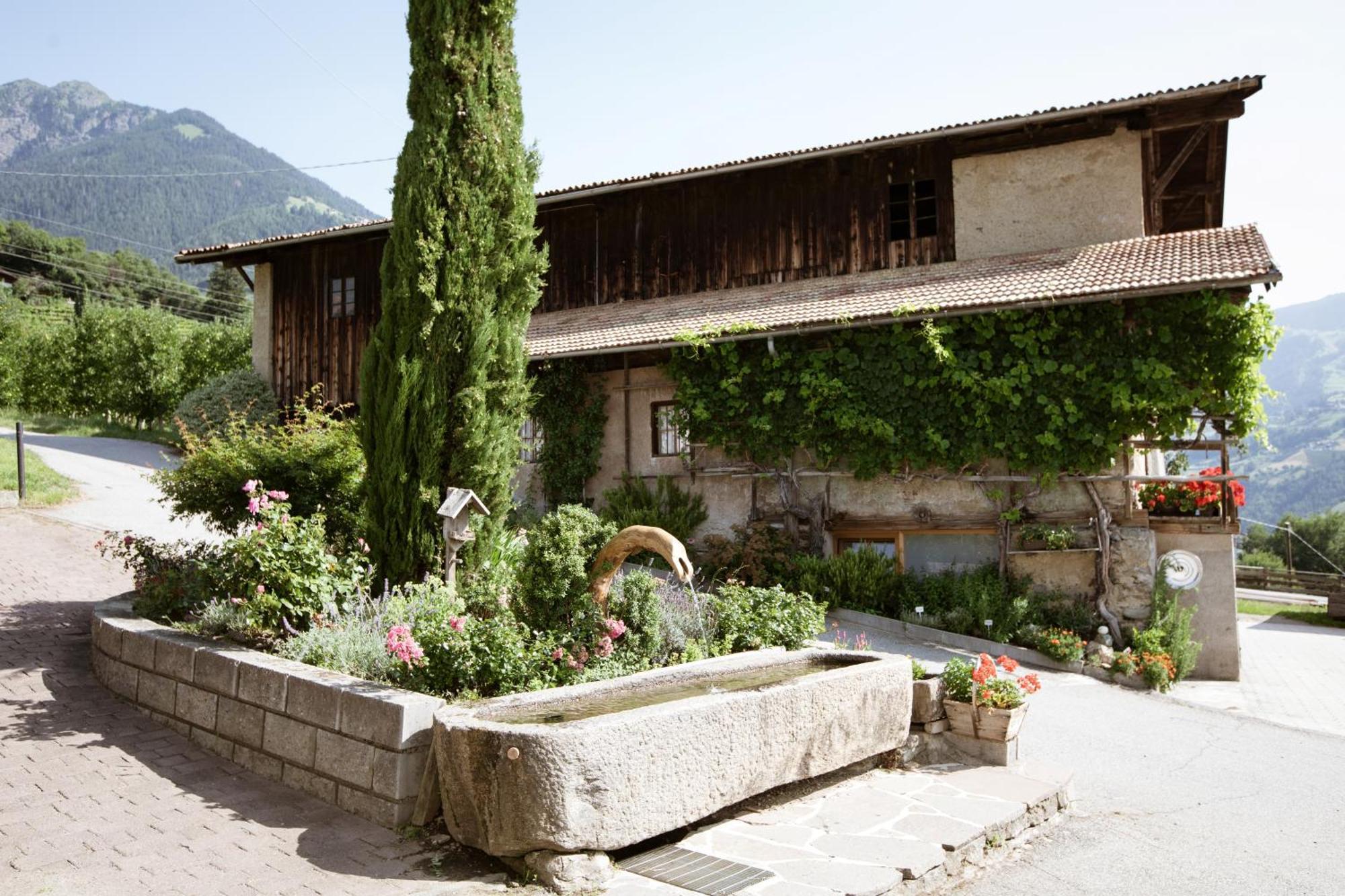 Bed and Breakfast Noessinghof Тіроло Екстер'єр фото